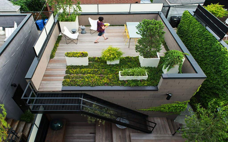 Mẫu thiết kế sân vườn sân thượng với không gian xanh