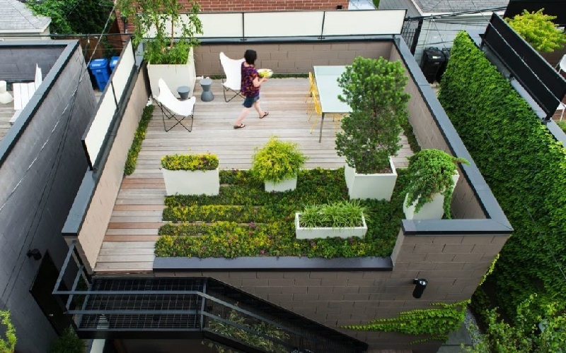 thiết kế không gian xanh cho nhà phố